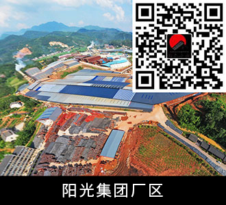 阳光集团厂区